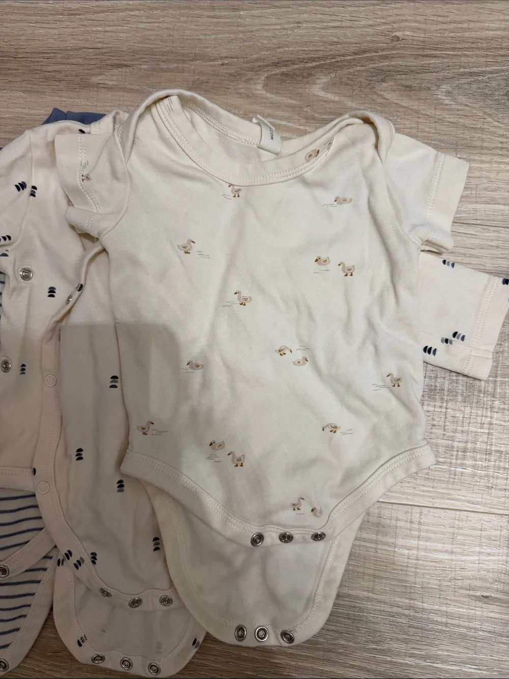 Colored Organics Kendi 7 onesies lot